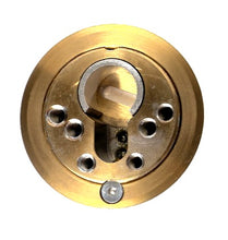 Cargar imagen en el visor de la galería, Escudo seguridad Basset DMC acero